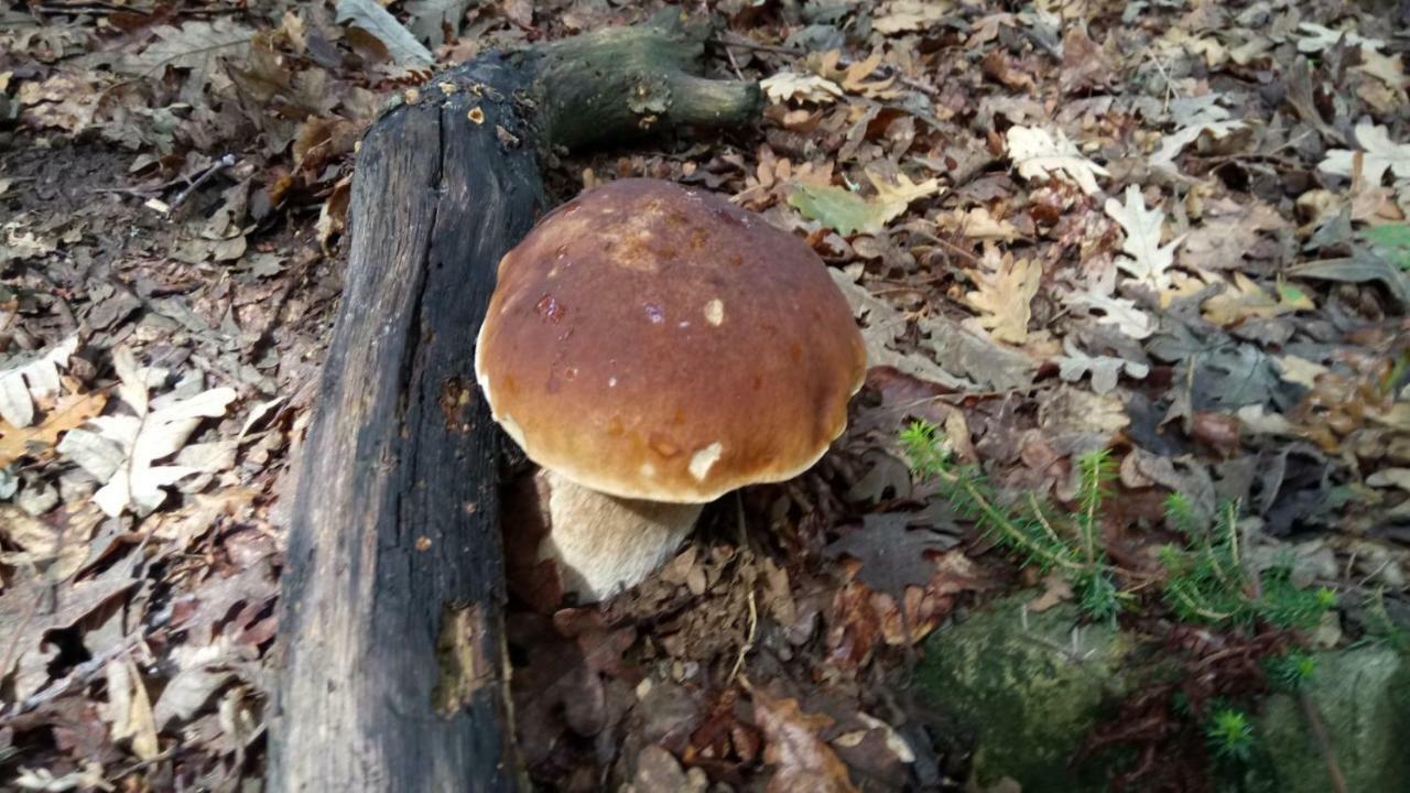 Casa Rural Eguzkilore Laukiz Bagian luar foto